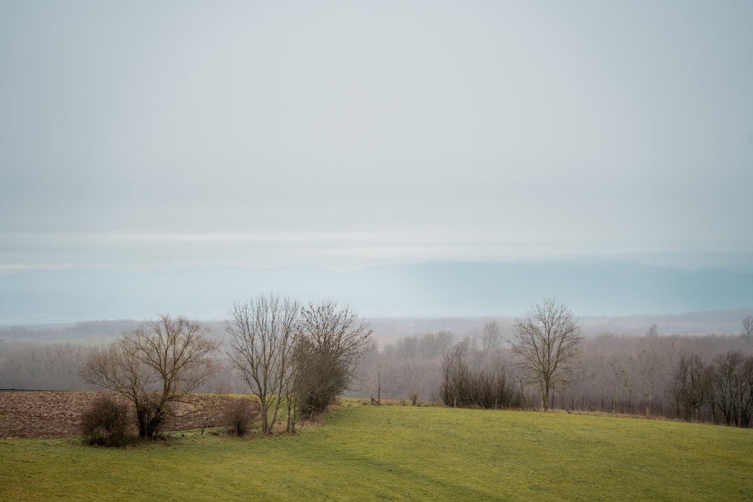 Bulletin météo du 20 mars 2026 — Équinoxe de printemps sous un ciel nuageux