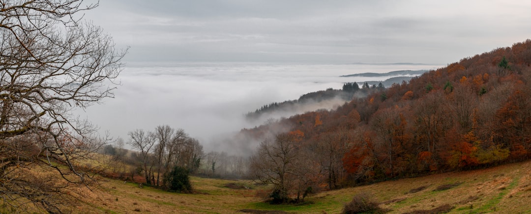 Bulletin météo du 22 mars : orages et pluies en vigilance jaune sur le Sud