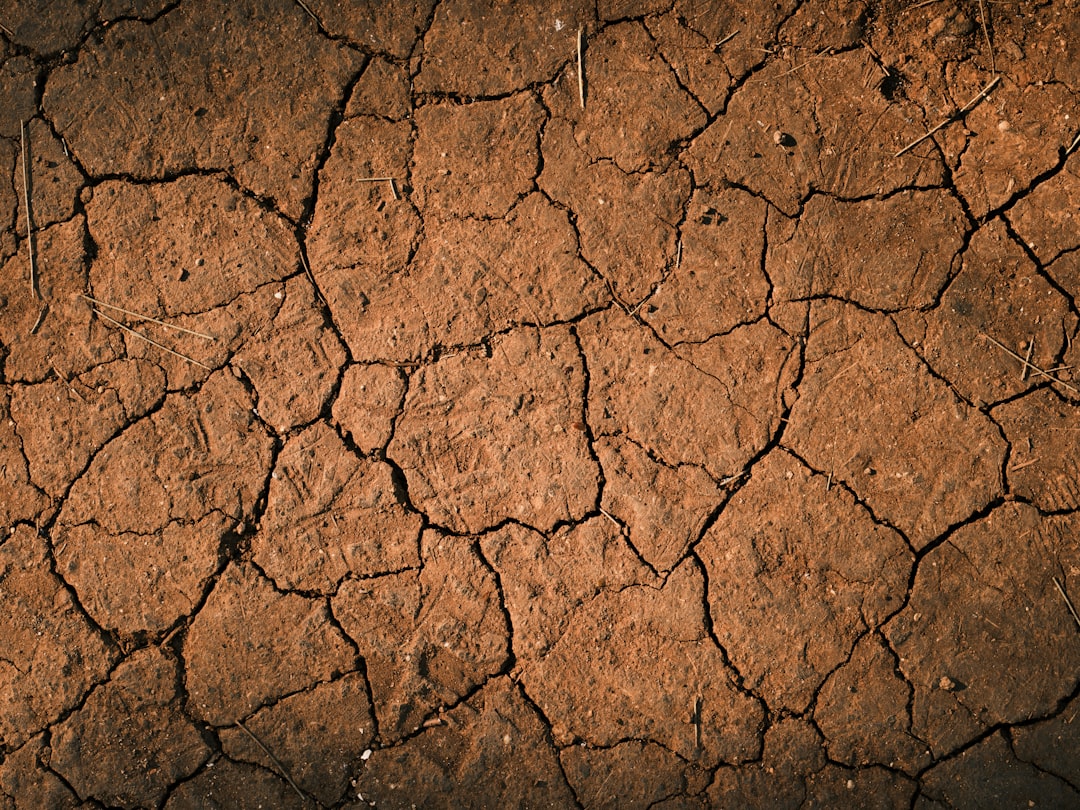 Sécheresse : avril 2026, le mois quasi sans pluie qui assèche la France